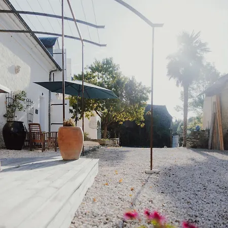 Les Perseides Lezignan