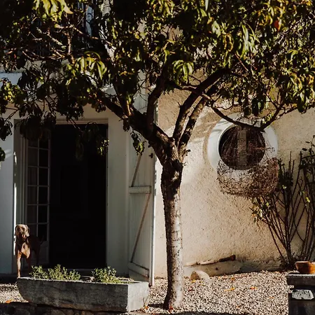 בית הארחה Les Perseides Lezignan