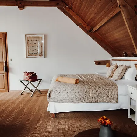 Les Perseides Lezignan