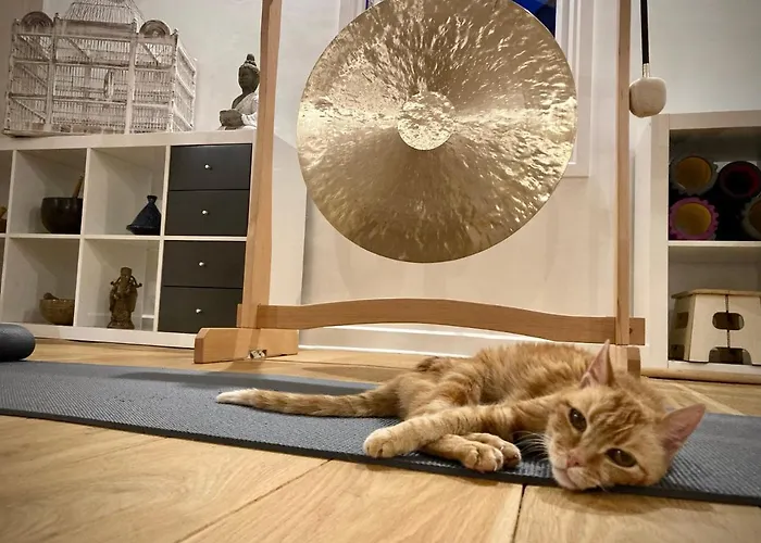 Gasthof Les Perseides 3*